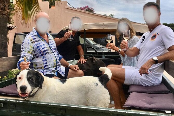 4x4 tour in a winery followed by a tasting - A coastal vineyard tour with a practical twist