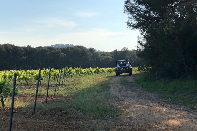 4x4 tour in a winery followed by a tasting - Timing, weather, and the return to Bormes