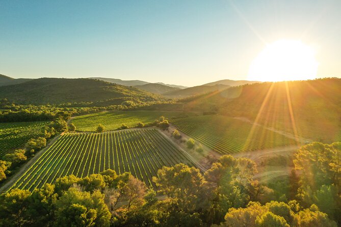 4x4 tour in a winery followed by a tasting - Riding through Domaine de la Sanglière