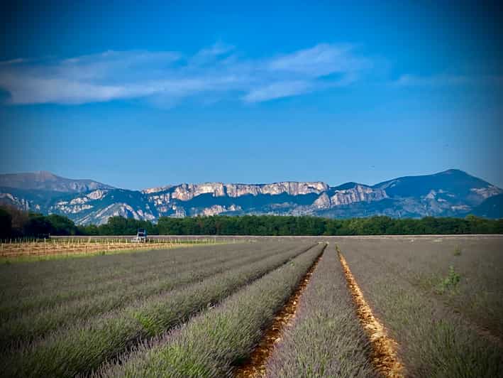 Bespoke Luxury Sightseeing Experiences - The Purple tour reaches the Verdon Gorge and lavender country