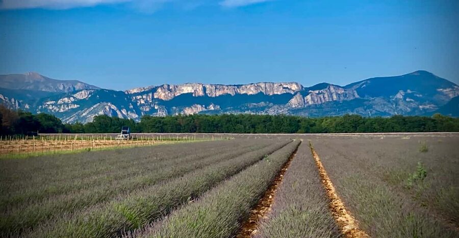 Bespoke Luxury Sightseeing Experiences - The Velvet tour links Nice, Eze, and Monaco