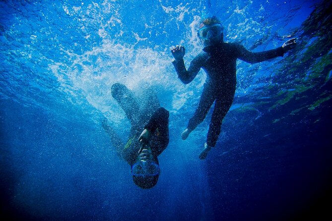 Boat trip and snorkeling in Villefranche - sur - Mer - About an hour above the rocky seabed