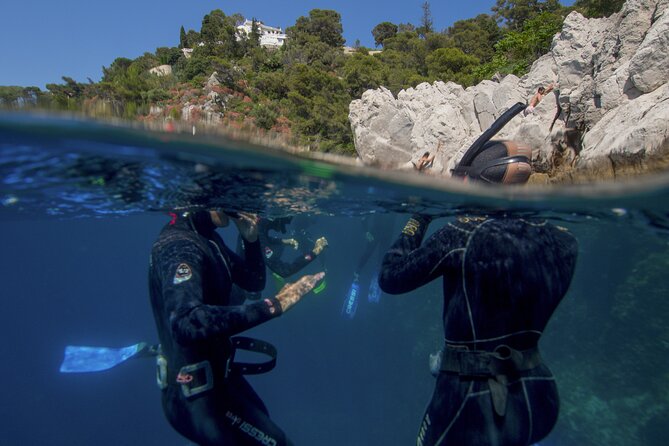 Boat trip and snorkeling in Villefranche - sur - Mer - Why the guides matter