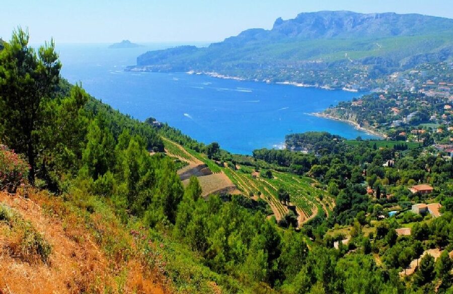 Calanques of Cassis, Aix-en-Provence & Wine Tasting Day Tour - A long Provençal day with three different moods
