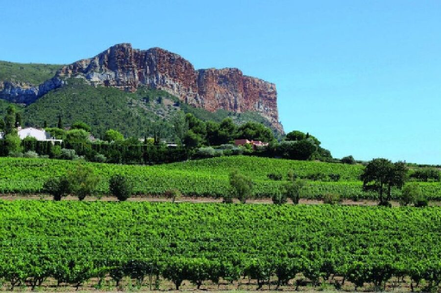 Calanques of Cassis, Aix-en-Provence & Wine Tasting Day Tour - Cassis, a small port with a very different feel