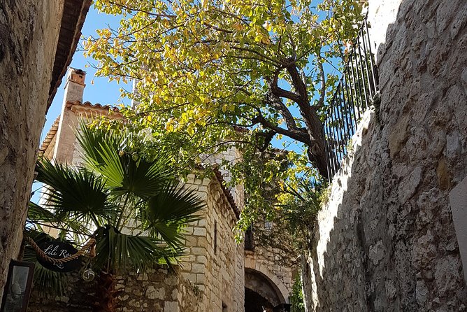 CANNES Shore Excursion: French Riviera Highlights with your Guide - What the guide adds to the day