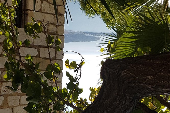 CANNES Shore Excursion: French Riviera Highlights with your Guide - Is $1,163.09 good value?