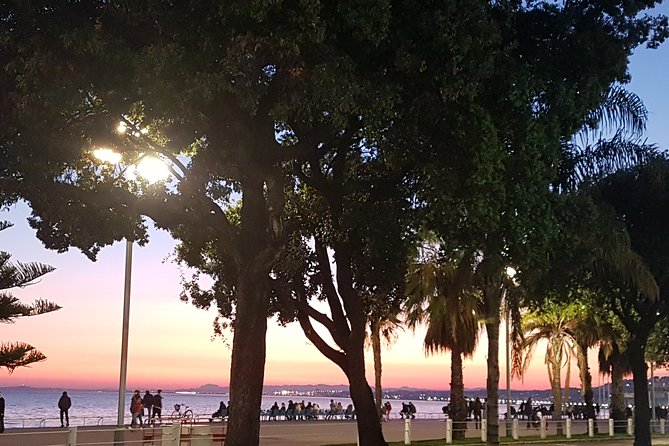 CANNES Shore Excursion: French Riviera Highlights with your Guide - Nice Old Town and the flower market