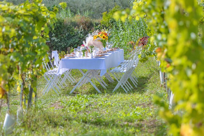 Dinner in the vineyard French Riviera - Music, art, and the changing program