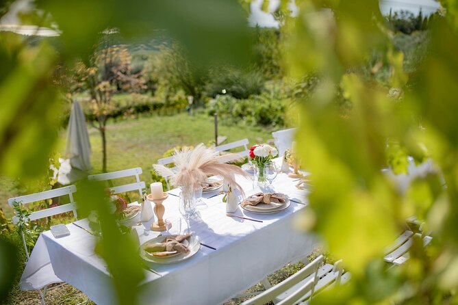 Dinner in the vineyard French Riviera - Professional photography included