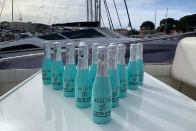 Exclusive Private Boat Tour on a Luxury Day Cruiser – Nice/Monaco