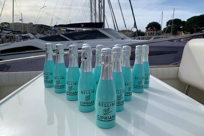 Exclusive Private Boat Tour on a Luxury Day Cruiser - Nice/Monaco - Saint-Jean-Cap-Ferrat: a glamorous start at the marina