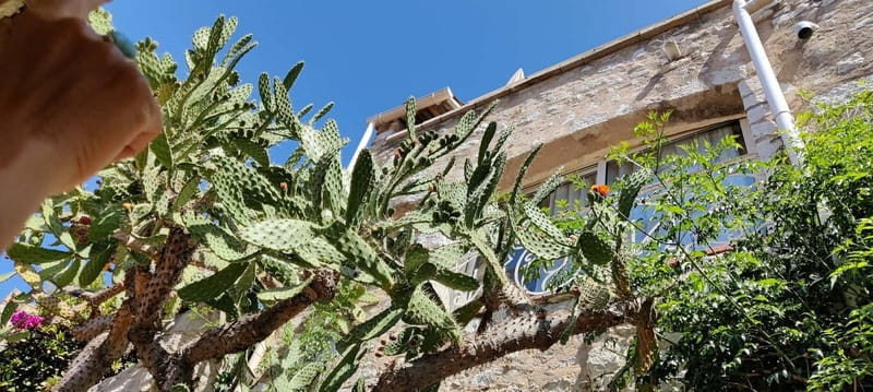 Èze: Walking Tour with a Local Guide - Fragonard perfume and the modern Èze