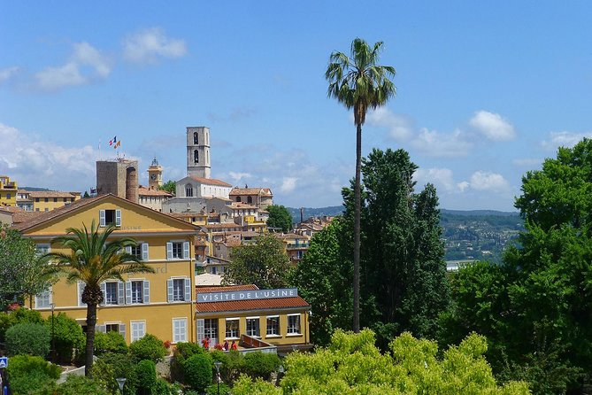 Flavors & Tastes of Provence , Shared & Guided 1/2 Day from Nice - A small minibus makes the route easier