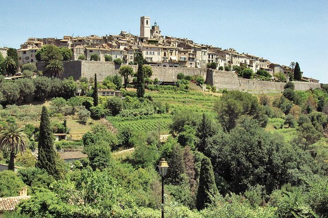 Flavors & Tastes of Provence , Shared & Guided 1/2 Day from Nice - Morning or afternoon departure?