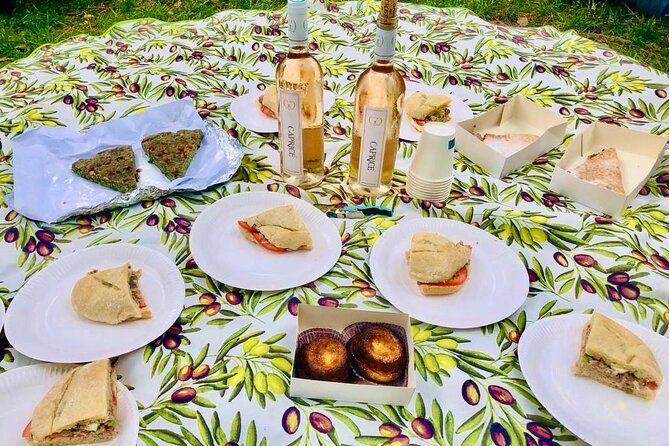 Food & Wine Lovers Tour of Nice Local Markets and Best Shops - Castle Hill picnic, the tour’s strongest finish