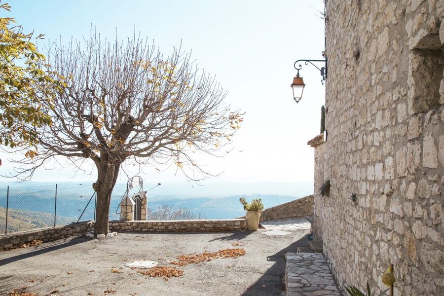 French Riviera and Provence Private Day Trip - Guide quality and language choice