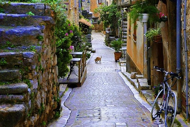 French Riviera & Medieval villages Full Day Private Tour - Grasse and the Fragonard perfume visit