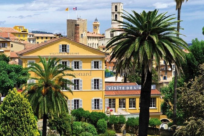 French Riviera & Medieval villages Full Day Private Tour - Tourrettes-sur-Loup and the violet connection