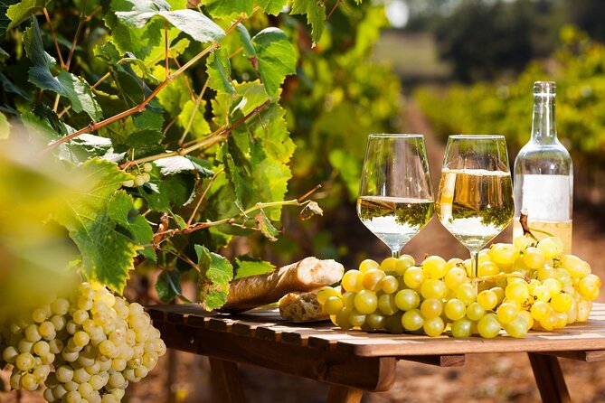 French Riviera, Wine tasting, Provencal market and Countryside - One day, five very different sides of the Riviera