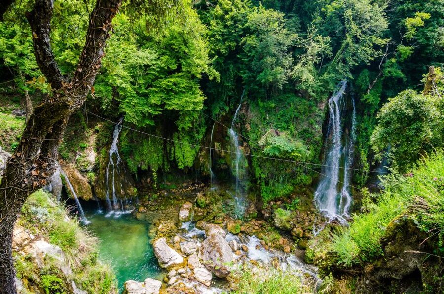 From Nice: Flower Fields & Saint Cassien Lake Full-Day Trip - Why this Nice day trip works so well