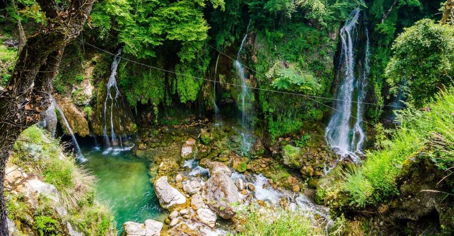 From Nice: Flower Fields & Saint Cassien Lake Full-Day Trip - Grasse and the Fragonard perfume factory