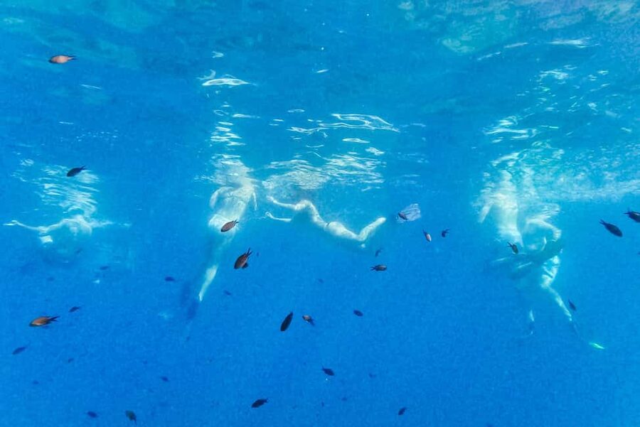 From Nice: French Riviera Swimming and Snorkeling Cruise - Sunbathing, swimming, or simply watching