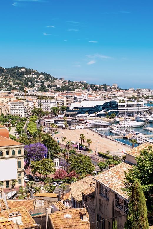 From Nice: Full-Day Best of the Riviera - Monaco, from the Old Town to the Grand Prix circuit
