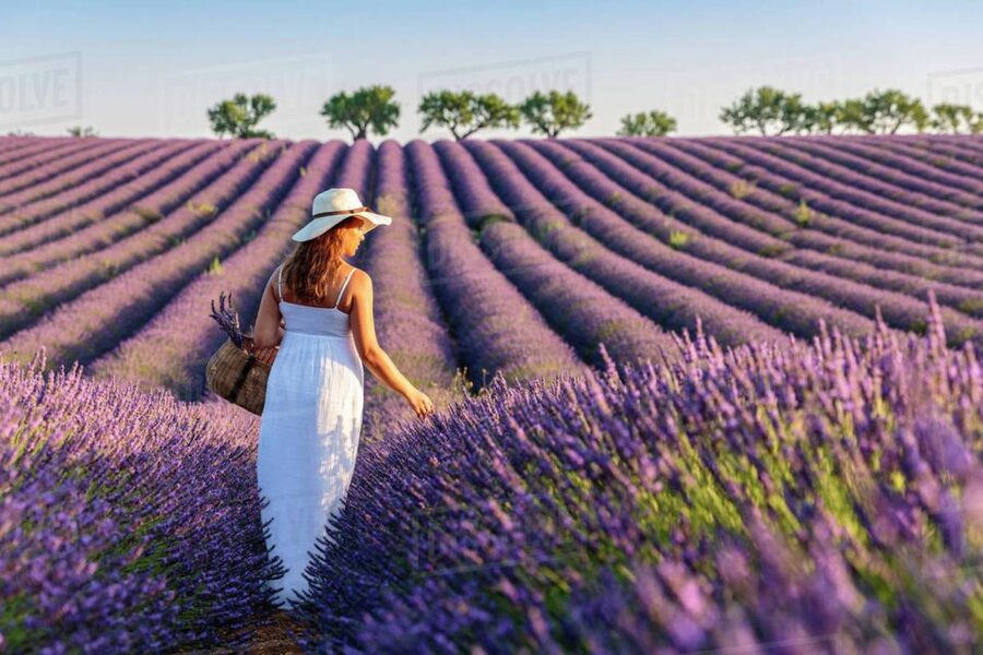 From Nice: Full-Day Provence and Lavender Tour - Lake Sainte-Croix at the foot of the gorge