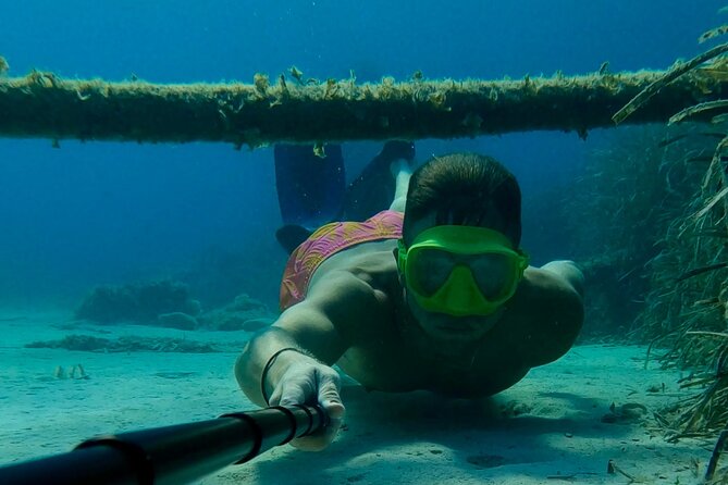 From Nice : Lerins Islands Boat Excursion with Snorkeling - Who should book this Lérins Islands excursion?