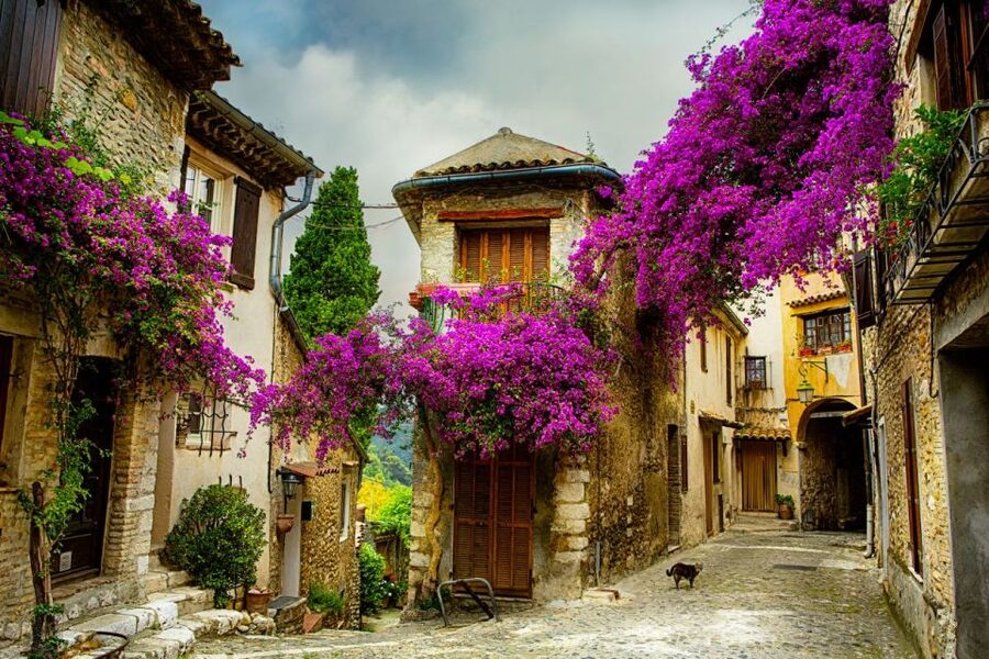 From Nice: Provence and its Medieval Villages Full-Day Tour - Saut du Loup: a scenic pause between villages