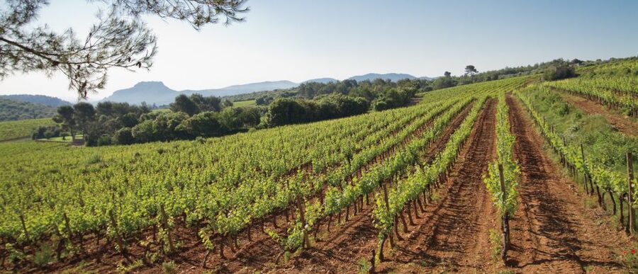 From Nice: Provence Wine Full-Day Tour - Key points at a glance