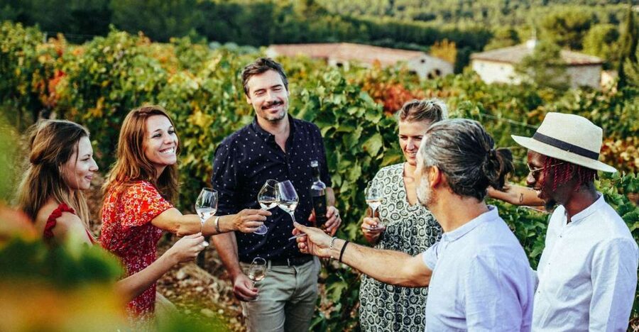 From Nice: Provence Wine Full-Day Tour - Who should book this tour?