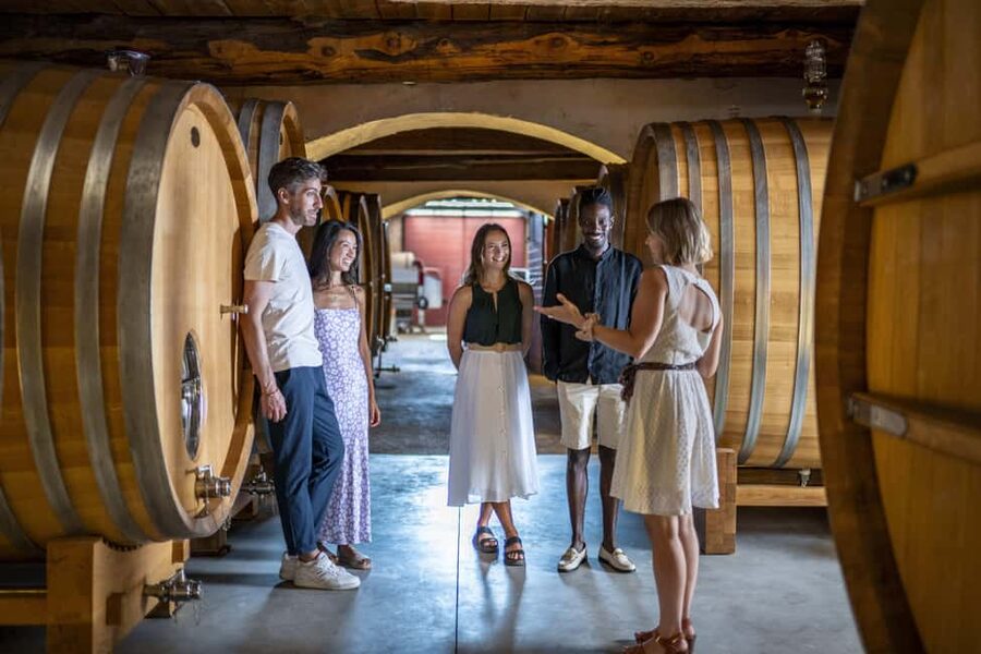 From Nice: Provence Wine Full-Day Tour - About 15 wines across rosé, red, and white
