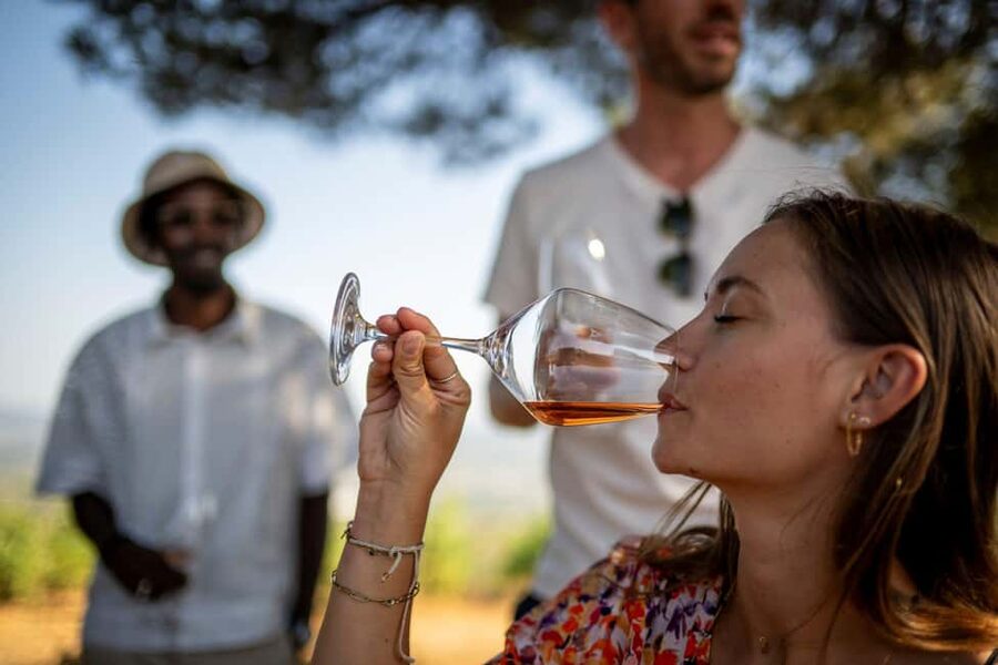 From Nice: Provence Wine Full-Day Tour - The second estate, vines and family ownership