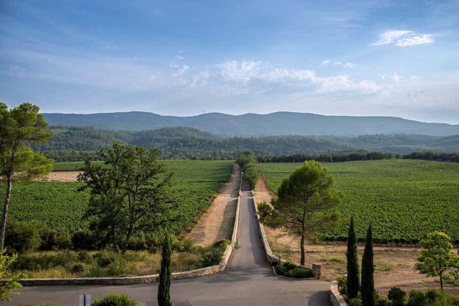 From Nice: Provence Wine Full-Day Tour - What the guide adds to the day