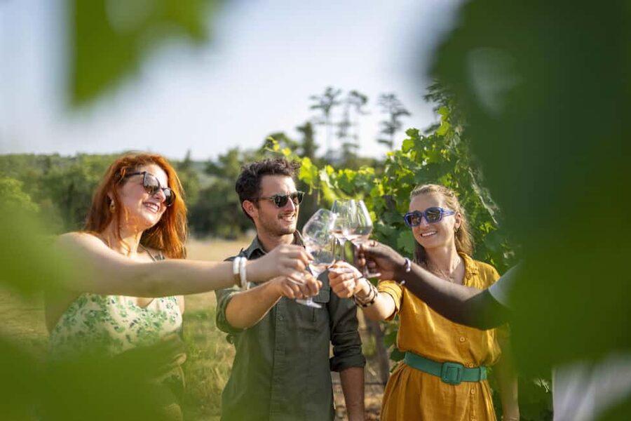 From Nice: Provence Wine Full-Day Tour - Price, timing, and what you really receive