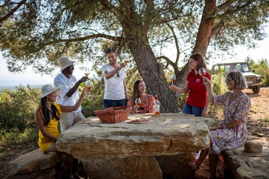 From Nice: Provence Wine Full-Day Tour - The first château and a practical wine lesson