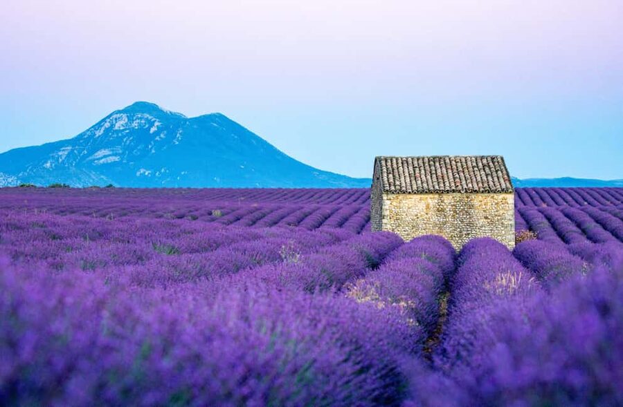 From Nice: Verdon Gorges & Lavender Fields Tour & Transport - Why this day trip is worth considering