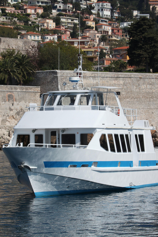 From Villefranche-sur-Mer: Guided Dolphin-Watching Tour - Weather, Cancellations, and Practical Planning