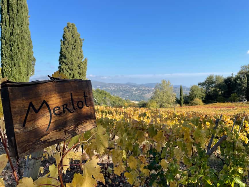 Full-Day Wine Tour in Bellet & Saint-Paul de Vence From Nice - The first Bellet winery and the opening tasting