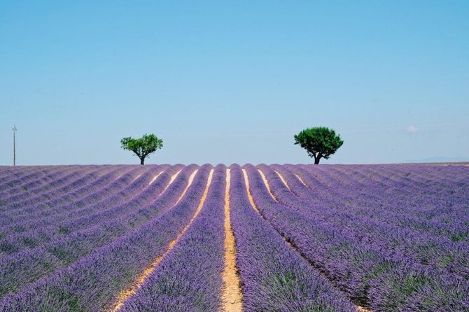 GUIDED TOUR: Lavender fields, the Gorges du Verdon - La Castellane and the first look at the Gorges du Verdon