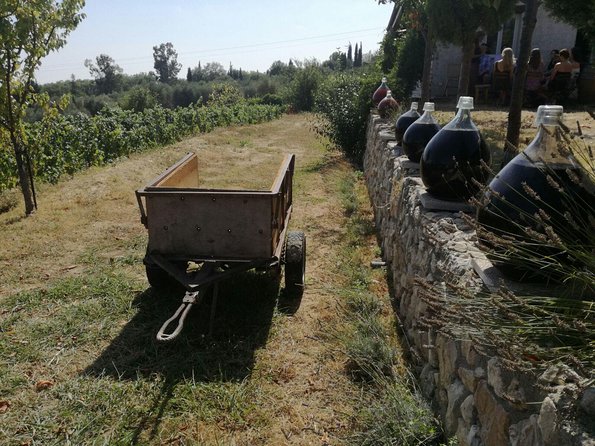 Half-Day Wine Tasting and Saint Paul de Vence Tour from Nice - Key points to know before booking