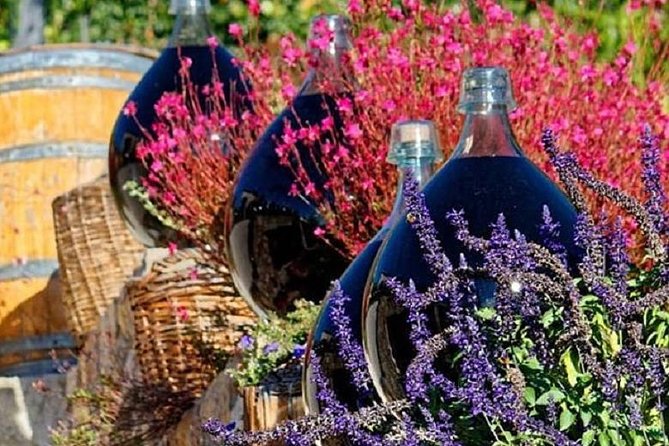 Half-Day Wine Tasting and Saint Paul de Vence Tour from Nice - Who gets the best value from this tour