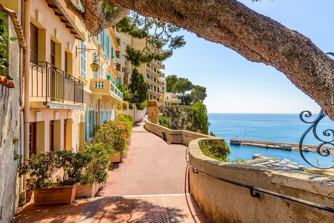 Italian Coast, French Riviera , Menton & Monaco Customizable Tour - One day from Nice across three countries