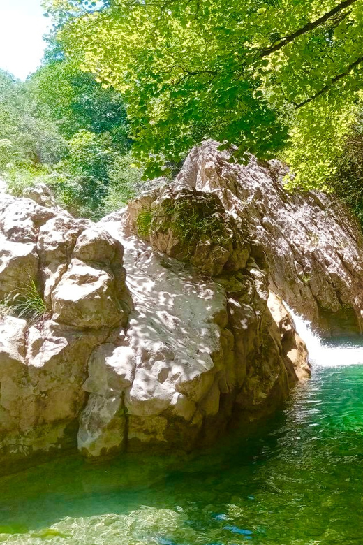 Mountain Train Experience: Hike & Mystic Forest (From Nice) - Why This Train Ride Is Worth Leaving Nice For