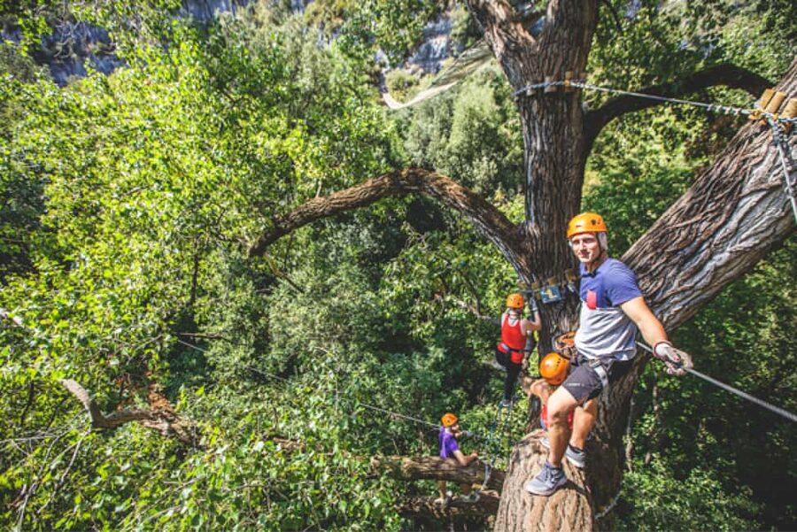 Nice: Adventure park in an exceptional natural setting - Four routes, 170 workshops, and plenty of height