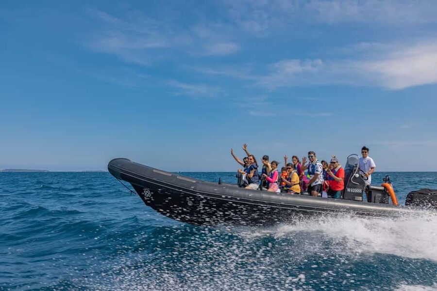 Nice: Coastline Boat Cruise to Monaco - Why seeing Monaco from Nice by boat makes sense