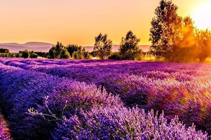 Nice: Gorges of Verdon and Fields of Lavender Tour - Why the Verdon Gorge is worth the long ride