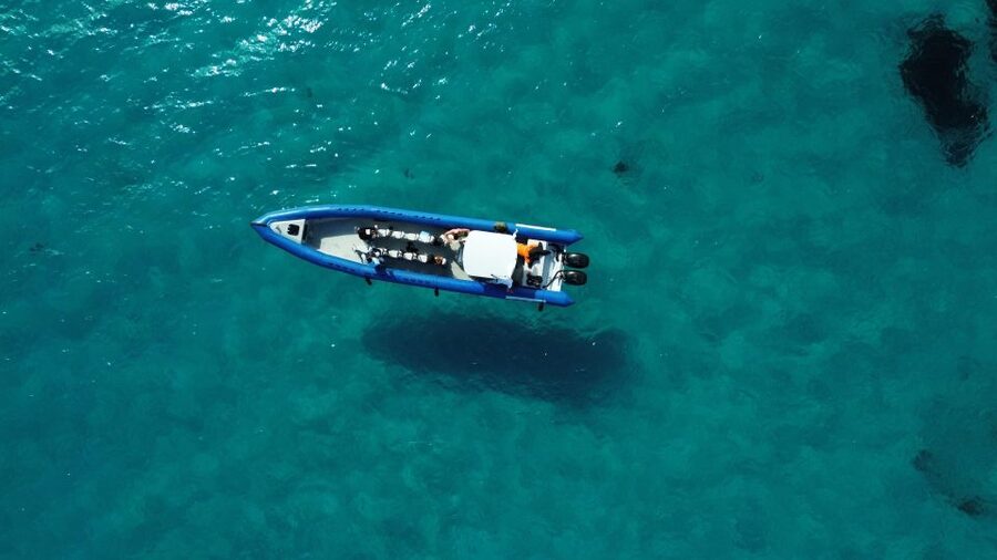 Nice: Lerins Islands Boat Tour with Snorkeling - Key points to know before booking